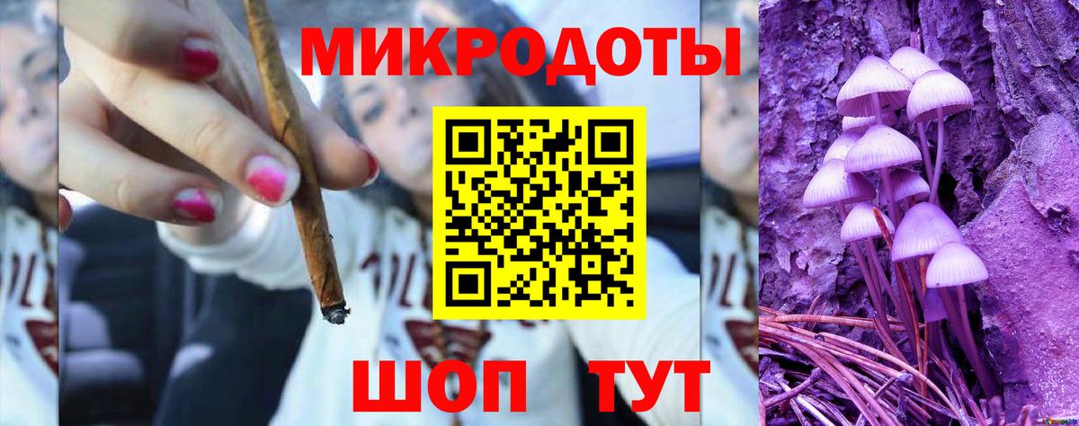 Карачаевск  Псилоцибиновые грибы Cubensis  Вход с VPN 